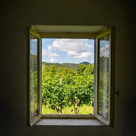 Dimora Sweet Pieve Holiday home *